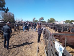 Excelente hacienda en la subasta de Cabaña Santa Rosa