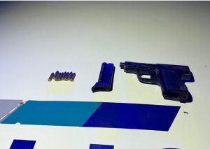 Huída, persecución y aprehensión en camino rural de Coronel Dorrego