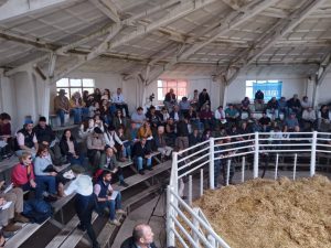 Se vendió la totalidad de los toros de Zuberbühler