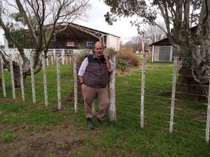 Se vendió la totalidad de los toros de Zuberbühler