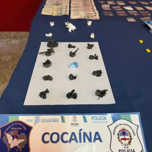 (video)Azul: dos tresarroyenses detenidos por tráfico de drogas en fiestas electrónicas