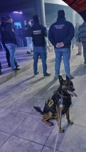 (video)Azul: dos tresarroyenses detenidos por tráfico de drogas en fiestas electrónicas