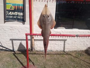 Pesca: el pampeano Elian Barth ganó el concurso de Independiente
