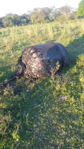 Misterio en Chaco: cayó un objeto metálico del cielo