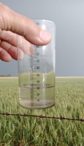 Lluvia en Tres Arroyos: cayeron 30 milímetros promedio en la zona