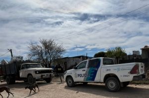 Estamos tan mal que los ladrones roban basura