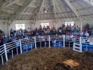 Buenos precios y agilidad en el 3er. remate Angus del Sudeste de La Agrícola Ganadera (audio)