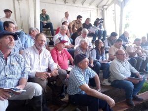 Buenos precios y agilidad en el 3er. remate Angus del Sudeste de La Agrícola Ganadera (audio)