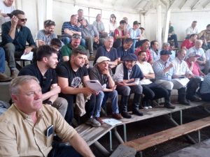 Buenos precios y agilidad en el 3er. remate Angus del Sudeste de La Agrícola Ganadera (audio)