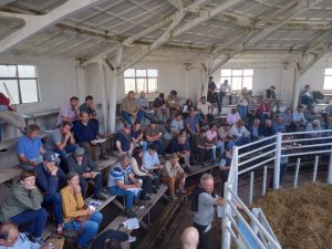 Buenos precios y agilidad en el 3er. remate Angus del Sudeste de La Agrícola Ganadera (audio)