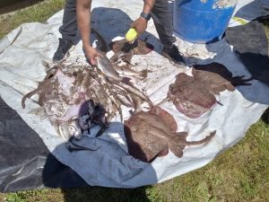 Pesca: el pampeano Elian Barth ganó el concurso de Independiente