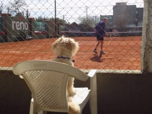 Tenis: Se define el “Seghezzo” de Huracán