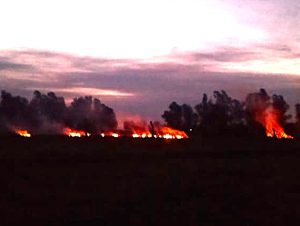 Bomberos sofocan incendio de pastos naturales en Libertad al 2000