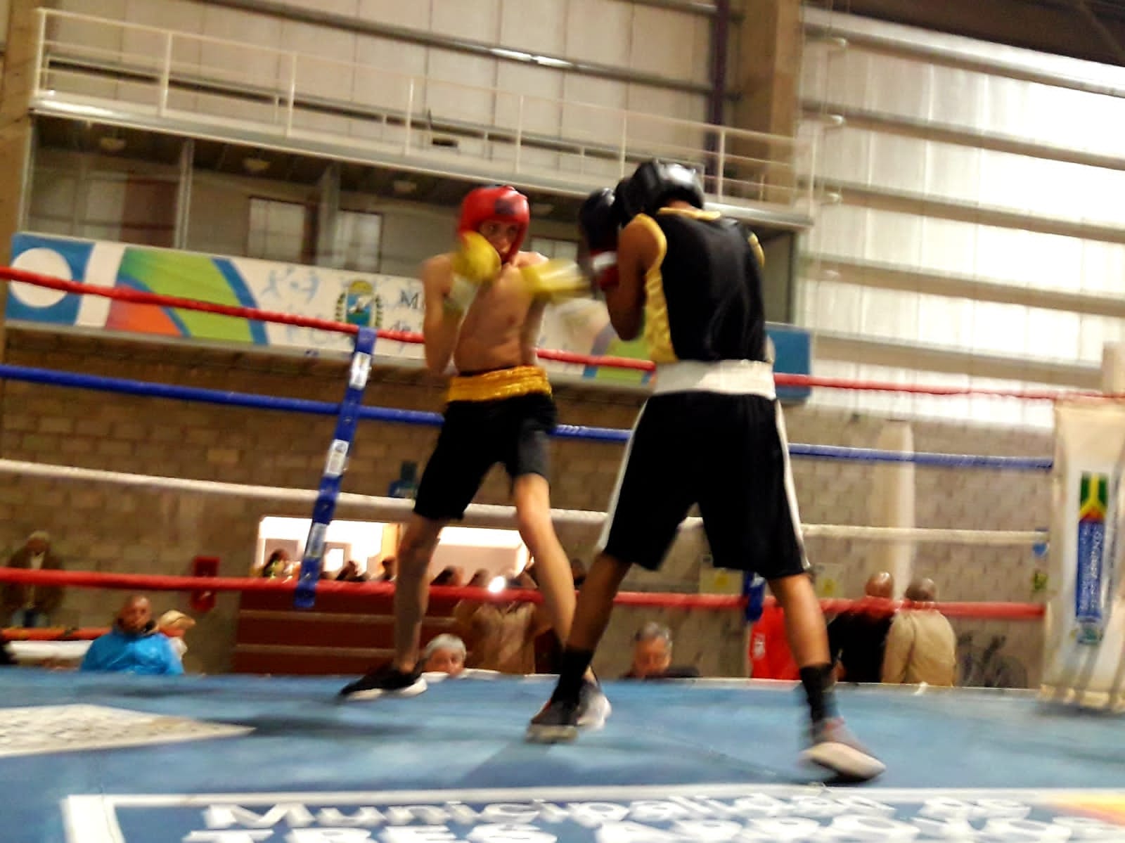 Boxeo: Con diez peleas, se realiza el festival Amateur en el Polideportivo