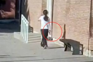 Pánico en Mendoza: joven realizó disparos en un colegio y está atrincherada (video)