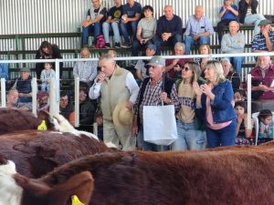 Remate de Civardi en la Rural dorreguense: se pagaron 16 millones por un toro
