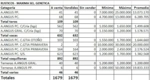 “Rústicos Máxima Selección Genética”: pagaron 50 millones una ternera