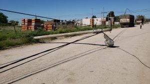 Golpeó el palo, cayó el palo, terminaron todos a los palos (videos)