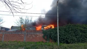 Tandil: Se quemaron 16 colectivos en el predio de la ex “Río Paraná”