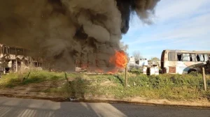 Tandil: Se quemaron 16 colectivos en el predio de la ex “Río Paraná”