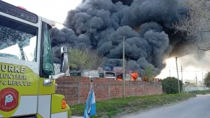 Tandil: Se quemaron 16 colectivos en el predio de la ex “Río Paraná”