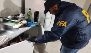 Policía Federal de Necochea: Tresarroyense preso por posesión y distribución de imágenes pornográficas infantiles