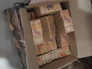Necochea: Mega causa narco y lavado de dinero pasó a la Justicia Federal