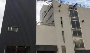 Volver, emprender, crecer: la historia detrás de Primolienda S.A. en Adolfo Gonzales Chaves