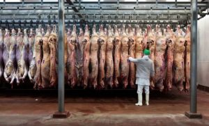 Alfonso Monasterio: “Es muy positivo”, la carne argentina hacia EE.UU cuadruplica su cuota