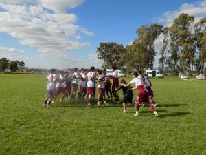 Federal de clubes: Ganaron la ACDC y Argentino, empató Boca