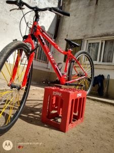 Robaron bicicleta en Ruta 3 Sur