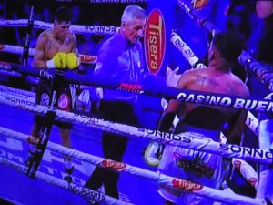 (video) Volvió “Tito” Lemos: ganó por nocaut técnico a Bolaños