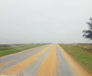 Camión derramó maíz sobre Ruta 228. El tránsito estuvo interrumpido
