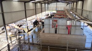 Futuros Técnicos Agropecuarios de la EATA visitaron La Colorada en Tandil