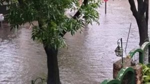 Trágico temporal en Buenos Aires: colapso por inundaciones y un muerto