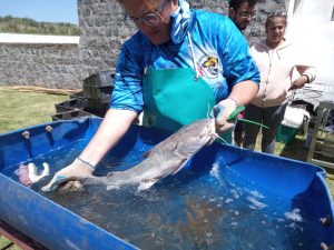 Instituto Almafuerte: Bladimir Krieger sacó la primera Corvina