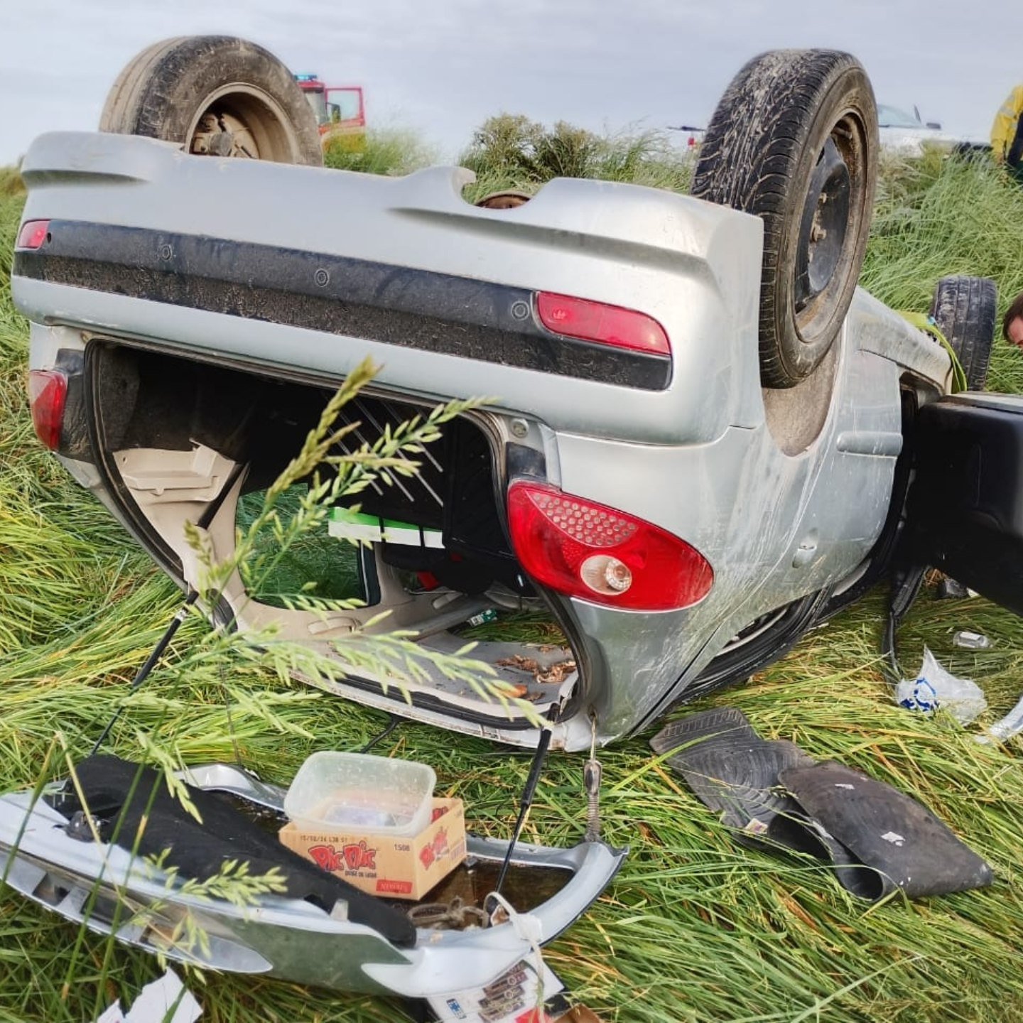 Vuelco en camino rural: eran pescadores de Azul que iban a Reta