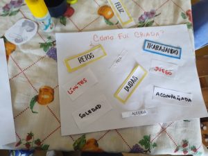 Desarrollo Social: Programa de Acompañamiento a las Crianzas