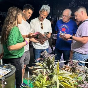 Monte Hermoso será sede del primer encuentro regional sobre cannabis medicinal