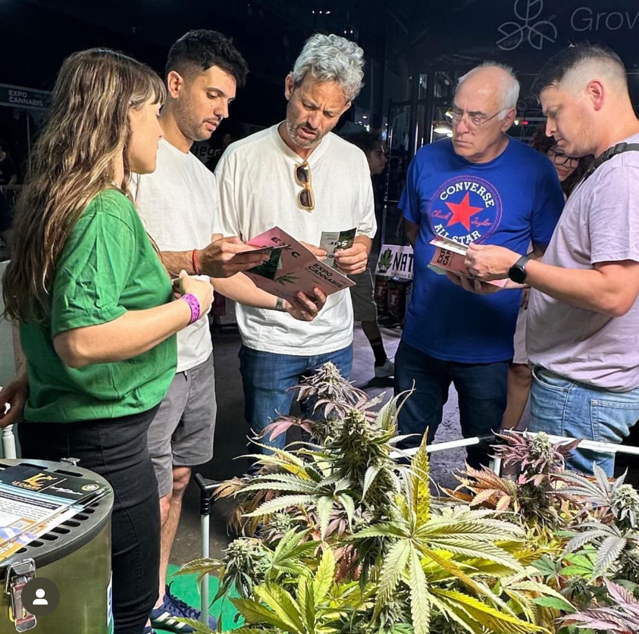 Monte Hermoso será sede del primer encuentro regional sobre cannabis medicinal