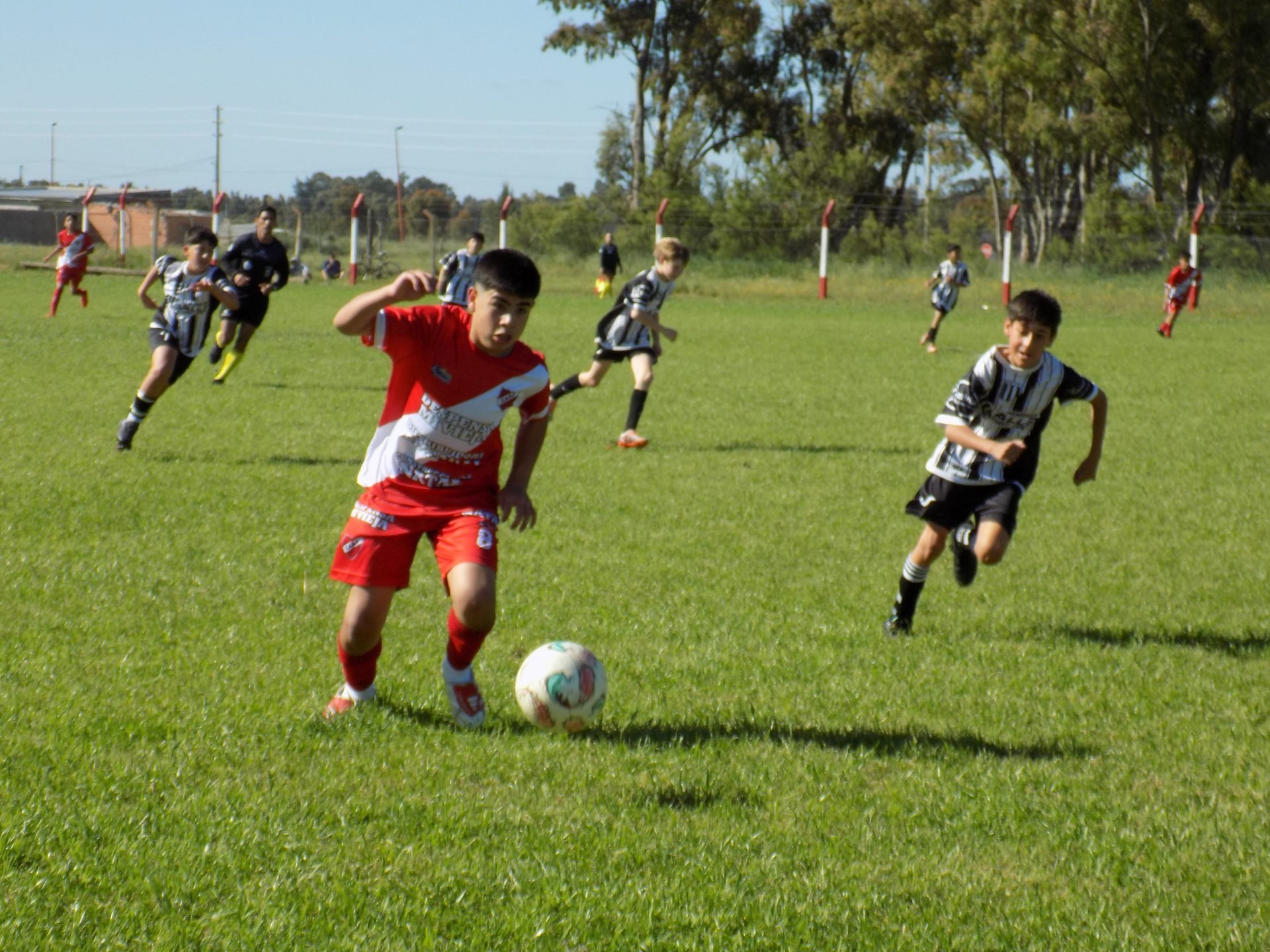 (videos)Fútbol: La Sub-13 de Argentino clasificó. La Sub-17 de Boca empató.