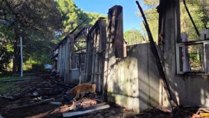 Pehuén Co: Un incendio destruyó la Capilla Sagrada Familia