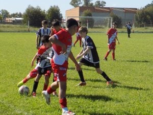 (videos)Fútbol: La Sub-13 de Argentino clasificó. La Sub-17 de Boca empató.