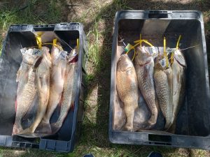 Pesca: Fabián Weigand de Miramar punteaba hasta las 13:00