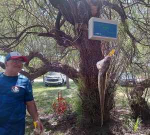 Pesca: Fabián Weigand de Miramar punteaba hasta las 13:00