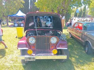 17 años de autos de época en la Rural