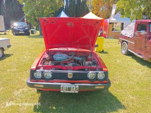 17 años de autos de época en la Rural