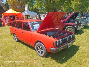 17 años de autos de época en la Rural