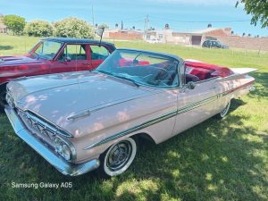 17 años de autos de época en la Rural