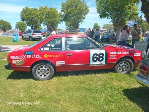 17 años de autos de época en la Rural